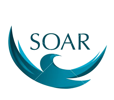 Qingdao Shanghe Rubber Technology Co.,LTD